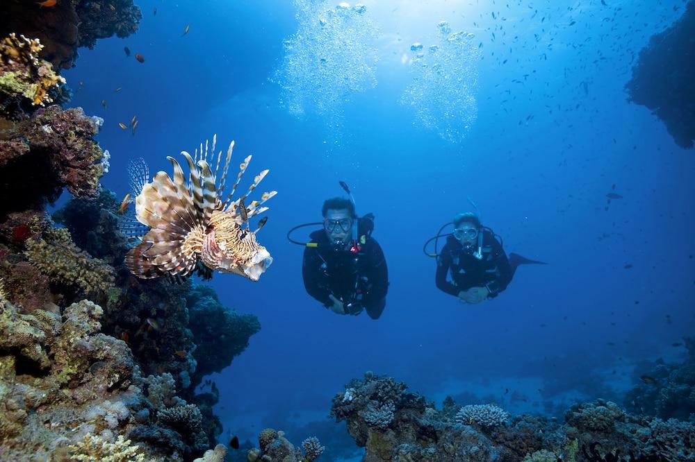 Turtle'S Inn Hotel Hurghada Zewnętrze zdjęcie