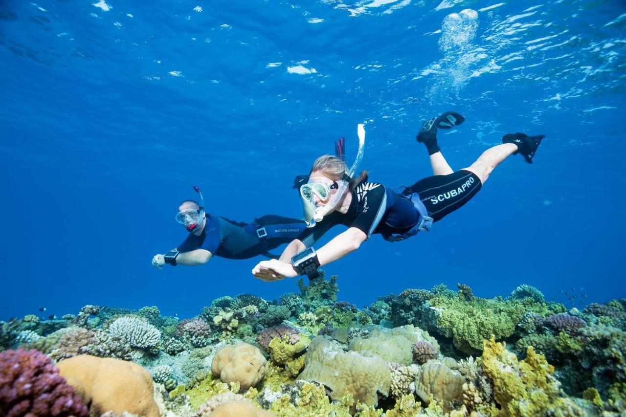 Turtle'S Inn Hotel Hurghada Zewnętrze zdjęcie